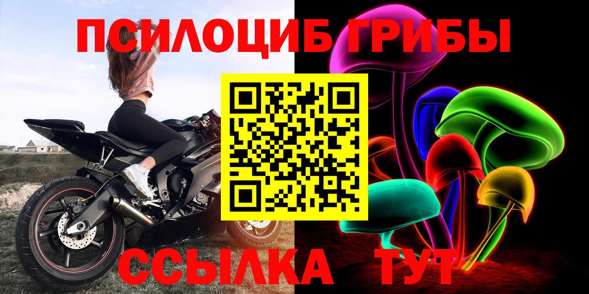 купить наркотики цена  Галлюциногенные грибы Psilocybine cubensis  Вход с VPN  Галлюциногенные грибы Cubensis  Усть-Илимск 